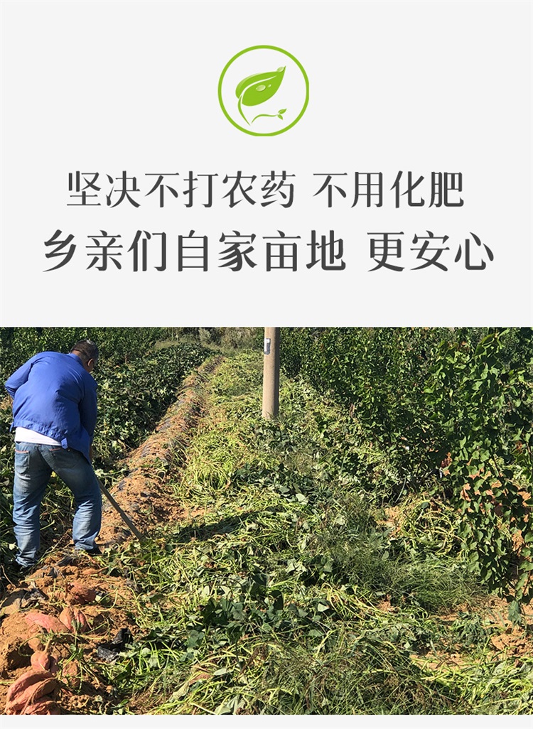 【百果园店】西瓜红蜜薯番薯