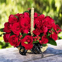 Леди Леди, джентльмен хороша