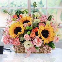 Пусть ты будешь старым, с солнцем в глазах