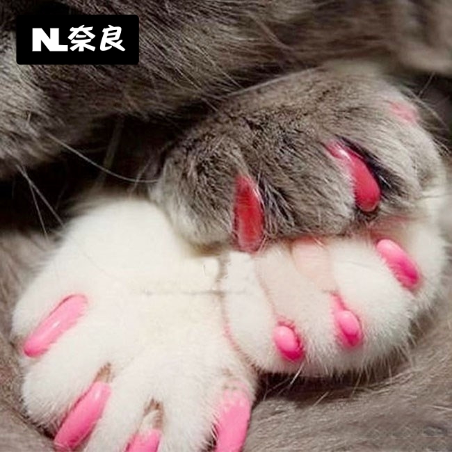 Creative practical bite-proof pet cat universal cat scratch cat cat cat glove paw anti-scratch armor home protection safety