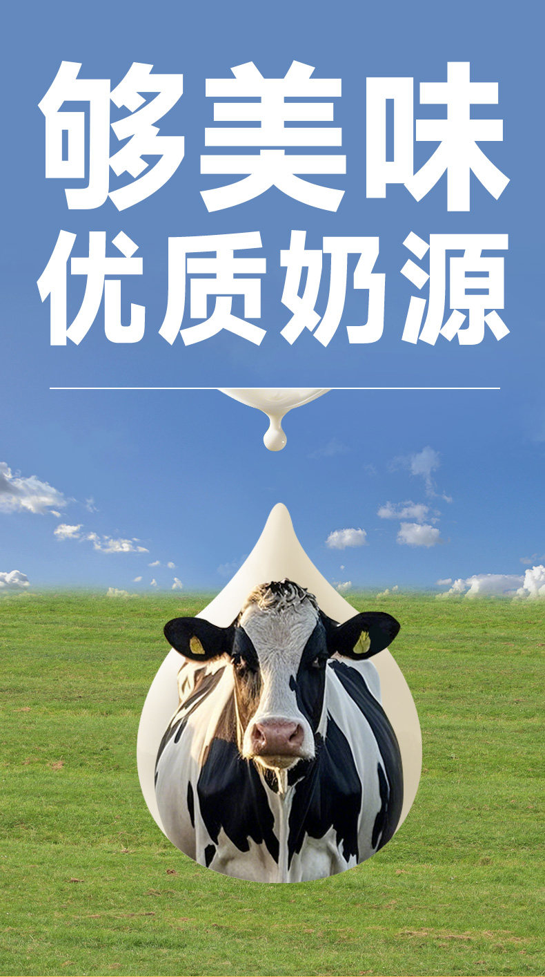 安享好物 安享E级含乳饮料-均瑶味动力 活菌瓶  