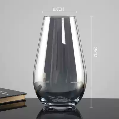 Light luxury Nordic glass fresh vase decoration Modern simple living room transparent desktop hydroponic flower arrangement color