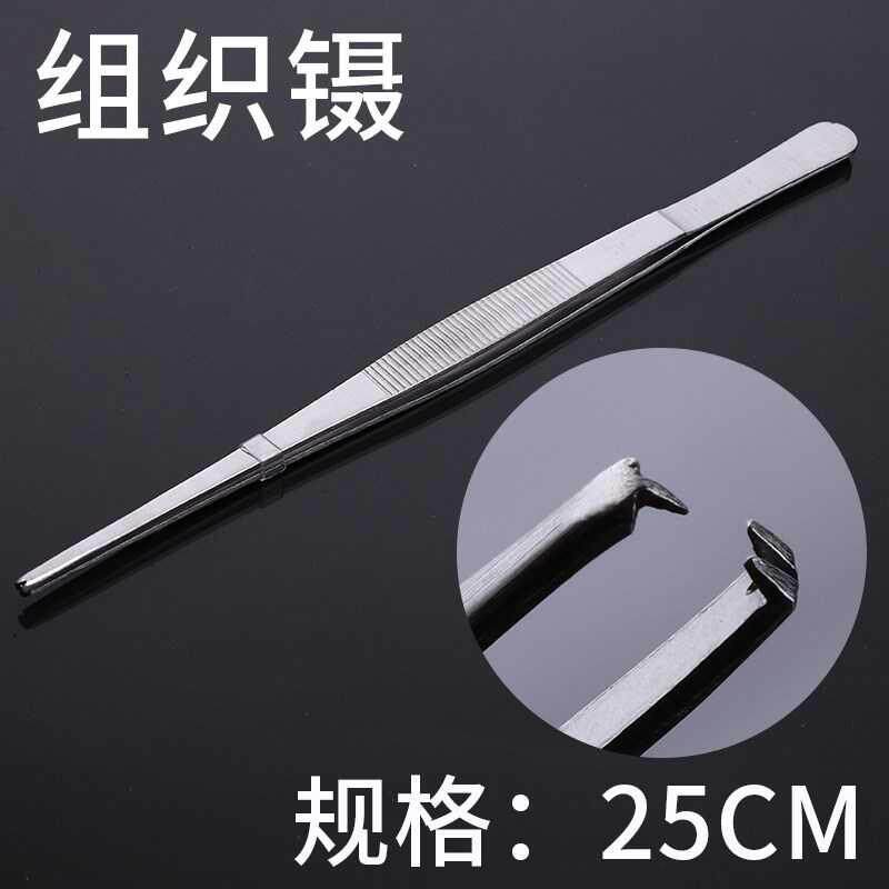  Regent Clip Pointed Lengthened Pinch of Tweezers Long Shank Big column Tweezers Clip sins Pliers Clips