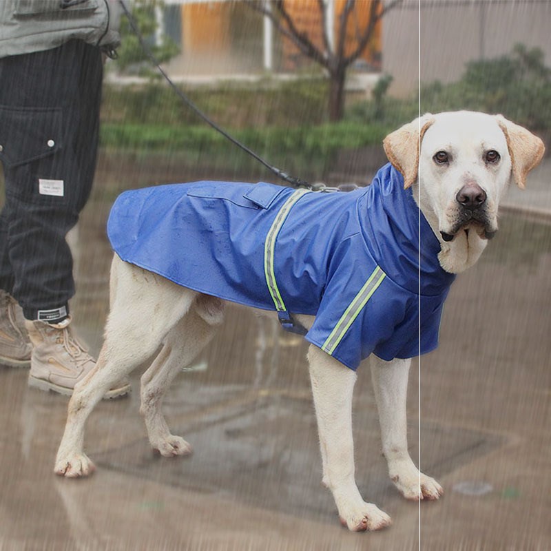 Factory direct sales spring and summer new dog clothes big dog waterproof raincoat pet reflective strip dog raincoat