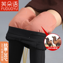 Camel Cotton Pants Woman Winter Exterior Wearing Plus Suede Thickened High Waist Heft Lean Northeast Middle Aged New Extra-thick Warm Pants