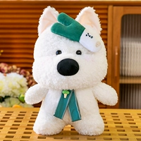 Зеленый лук по-вест-хайлендски — 30 см.