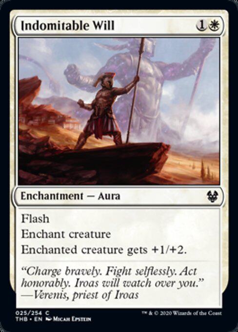 MTG Magic Storm the THB Fearless Spirit Indomitable Will White Iron 25 English