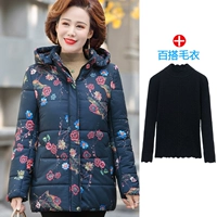 Тибетская бегония плюс свитер