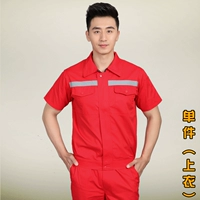 Дахонг [одиночный топ]