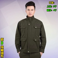 [Хлопок] новичок в ткани из хлопкового хлопка