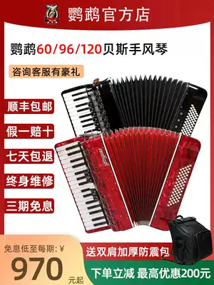 Parrot accordion examination Playing beginner accordion 60 96 120 bass three or four rows of spring accordion