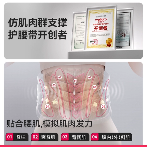 Пояс Veide для грыжи межпозвонкового диска, медицинская внешняя поддержка поясницы и внутренняя защита от трудовых травм поясничных мышц, мужчины и женщины, профессиональная поясничная опора