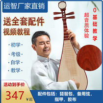 Red Wood Pipa Musical Instrument Adult Children Manual Beginology Introductory Practice Playing Professional Test Class National Manufacturer Direct