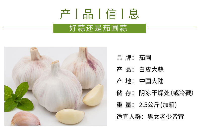 5斤大个头白皮干蒜 图3