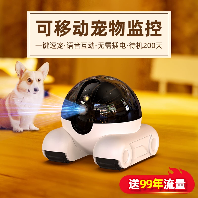 Monitor, robot, wireless mobile phone, smart CCTV camera, pet