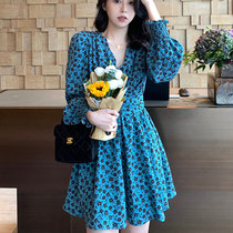 2021 Early spring models new womens big code French style retro fit slim fit dress Herbena blue Broken Flowers Skirt