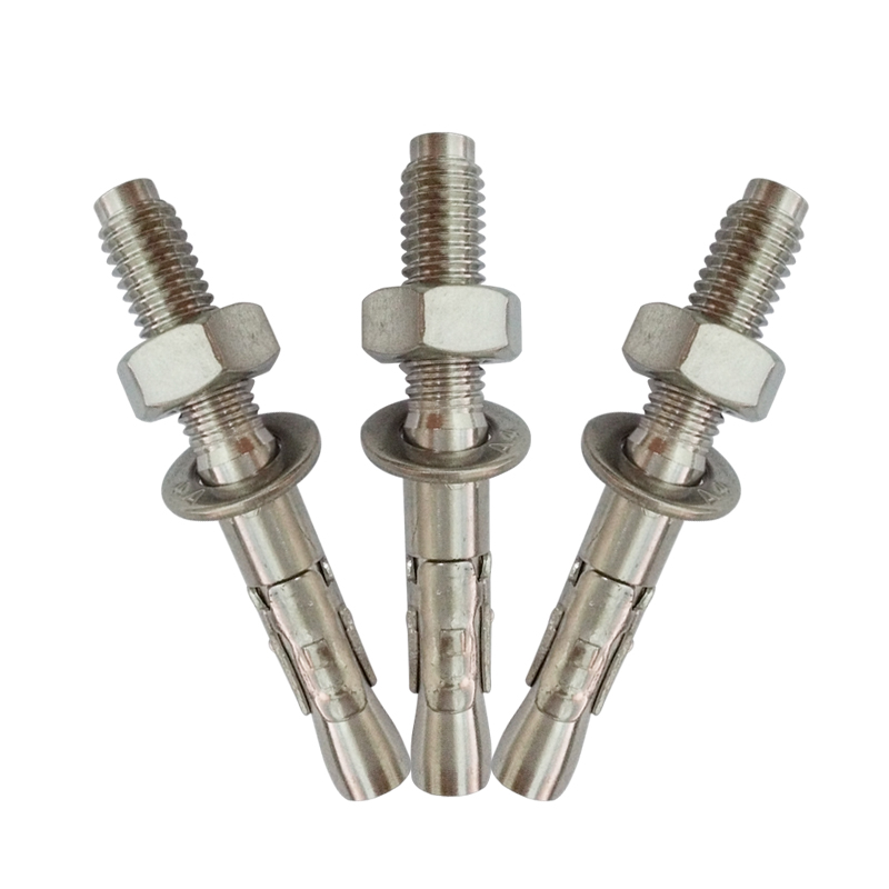 Stainless steel 316 car repair gecko pull burst climbing nail expansion screw expansion bolt M10 M12
