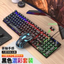 Computer luminous keyboard mouse set mechanical feel chicken game CF office home computer notebook universal