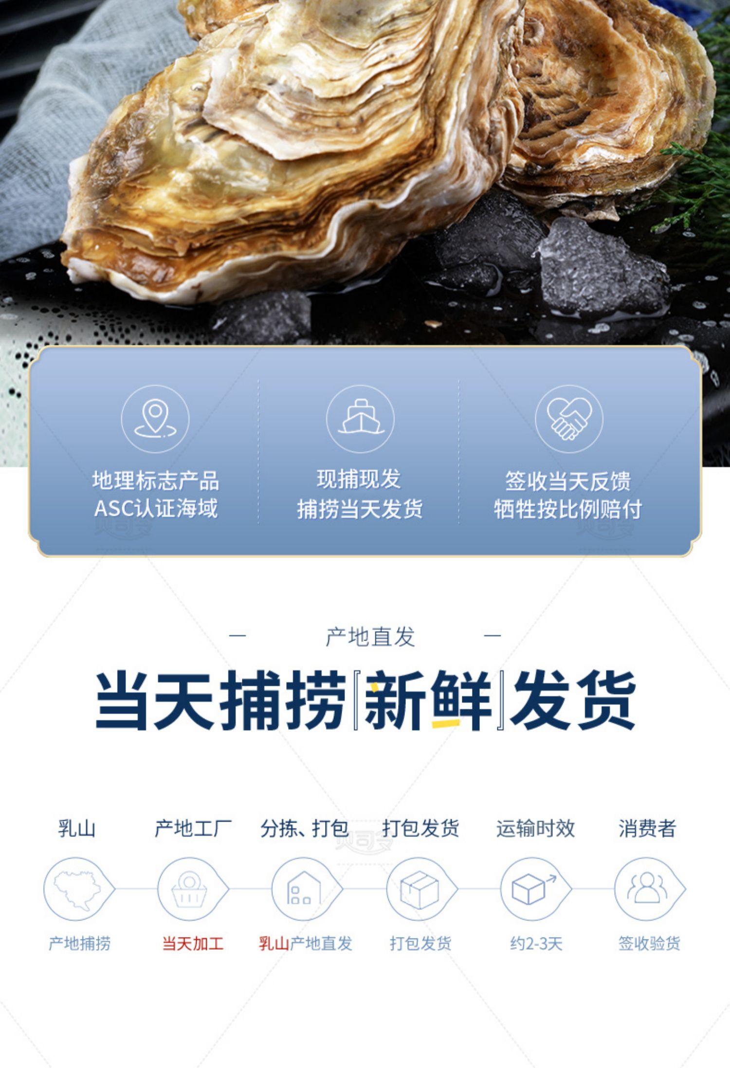 顺丰包邮，贝司令 特大鲜活乳山生蚝 5斤带箱 39.8元起包邮 值值值-买手聚集的地方