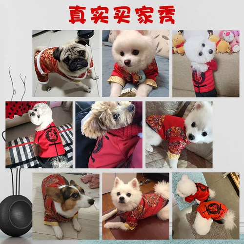 Собаки новогоднее праздничное платье осень и зимние домашние животные плюшевый медведь красавица маленькие собаки Лучший новогодний кот Новый год династия