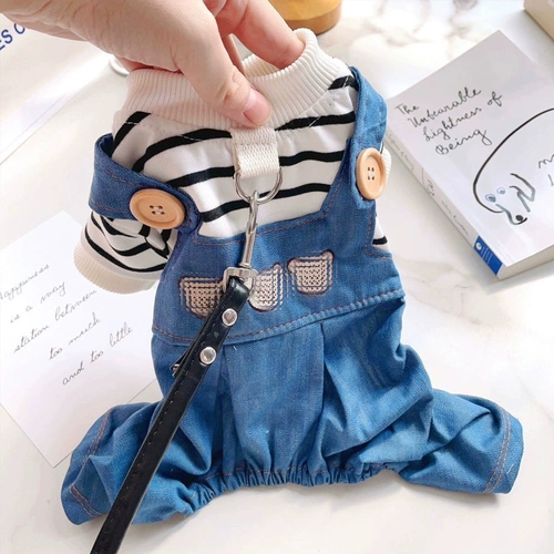 Одежда собаки может быть в ловушке.