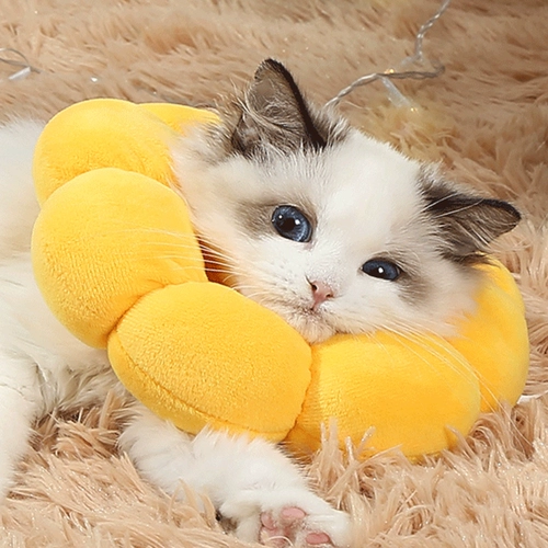 Элизабет Круг Корт Круг Энтипинговая кошка кошка кошка шея круг Иллисса Бай Круг Круг ПЭТ -продукты