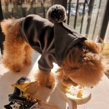 Шерри собачья одежда плюшевая плюшевая осень и зимние приливы кошачьи свитера утолщены, чем медвежь