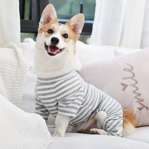 Одежда для собак домашняя одежда тонкие плюшевые VIP VIP