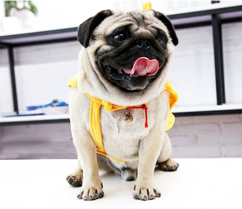 Chó mặc quần áo ngộ nghĩnh Teddy chiến đấu hơn gấu lợn Peggy Peggy ăn mặc ngộ nghĩnh với cùng một đoạn quần áo thú cưng - Quần áo & phụ kiện thú cưng