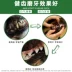 Chó răng hàm dính sạch răng xương Teddy Lông vàng Labrador vừa chó lớn nhai thú cưng - Đồ ăn vặt cho chó thức ăn cho thú cưng Đồ ăn vặt cho chó