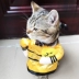 Trang phục chó ngộ nghĩnh trang phục mùa hè đầm mỏng phần rung với hoàng đế mèo TDI vui nhộn nhồi bông trang phục thú cưng - Quần áo & phụ kiện thú cưng áo dành cho chó con	 Quần áo & phụ kiện thú cưng