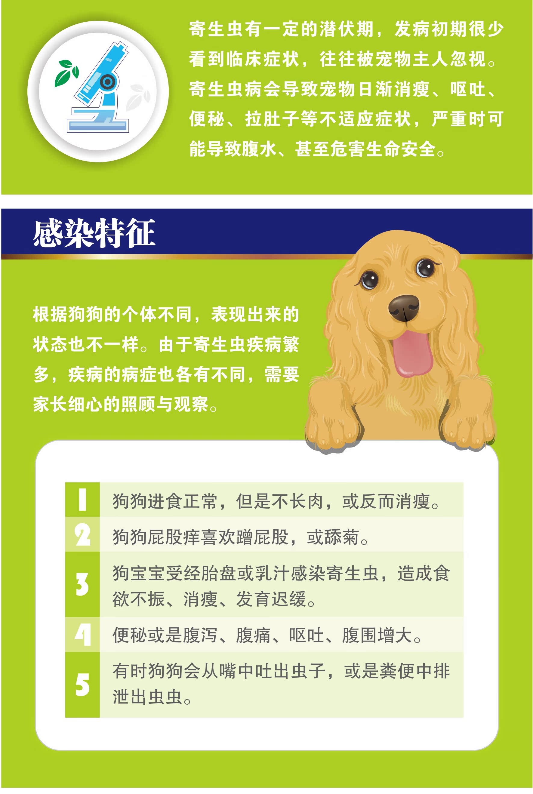 湃特安琪儿安琪儿肠虫宁狗狗猫咪泰迪体内驱虫药除蛔虫打虫药小狗幼犬狗药 乐乐地带商城 湃特安琪儿安琪儿肠虫宁狗狗猫咪泰迪体内驱虫药除蛔虫打虫药小狗幼犬狗药 乐乐地带商城