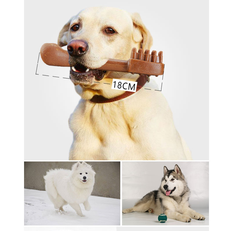 Chó răng hàm dính sạch răng xương Teddy Lông vàng Labrador vừa chó lớn nhai thú cưng - Đồ ăn vặt cho chó mua thức ăn cho chó