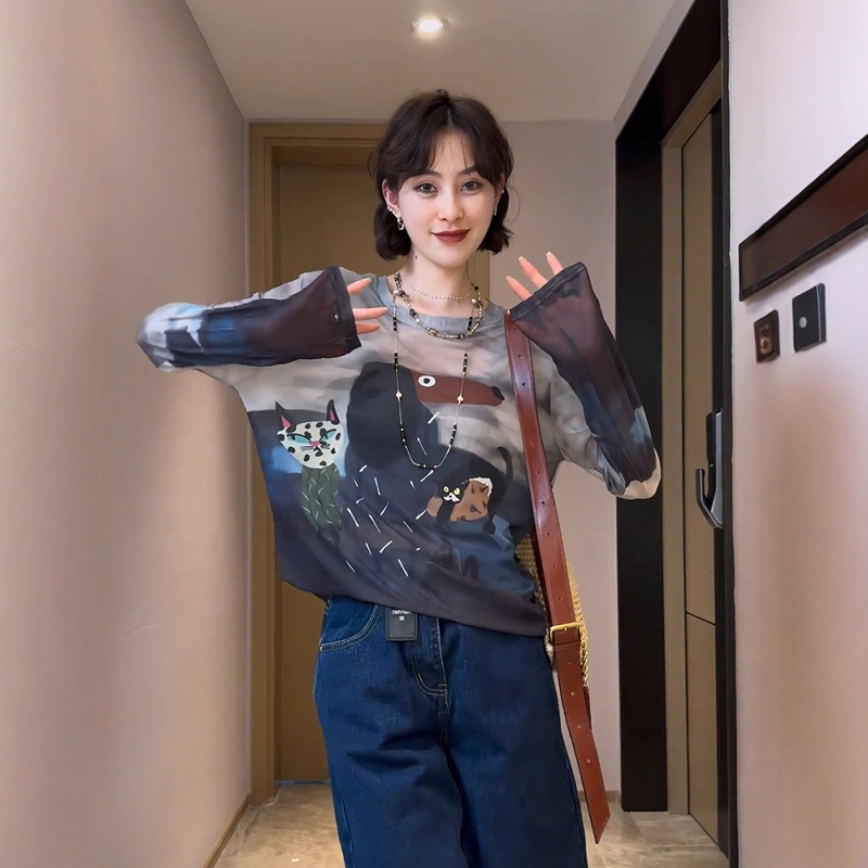 Gradient Tie-Dye Mesh Long-Sleeve T-Shirt for Women, Summer Thin Loose Design, Unique Sun-Protective Cover-Up Top Gradient Tie-Dye Mesh Long-Sleeve T-Shirt for Women, Summer Thin Loose Design, Unique Sun-Protective Cover-Up Top
