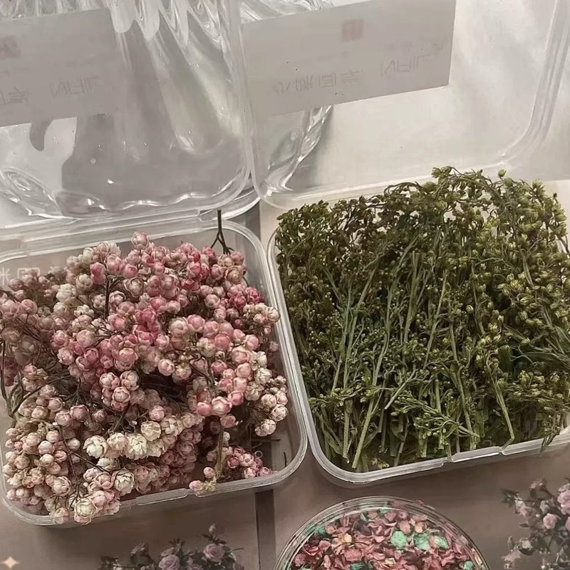 Xiaomi's Classmate Uses the Same Flower Materials as the Moon Island Aurora Garden, and Has a Little Angel Bow Nail Art Mold