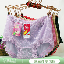 Color Fields Underwear 30135 Ladies in high waist lace mesh fabric transparent Hazy waist 30136 flat angle pants