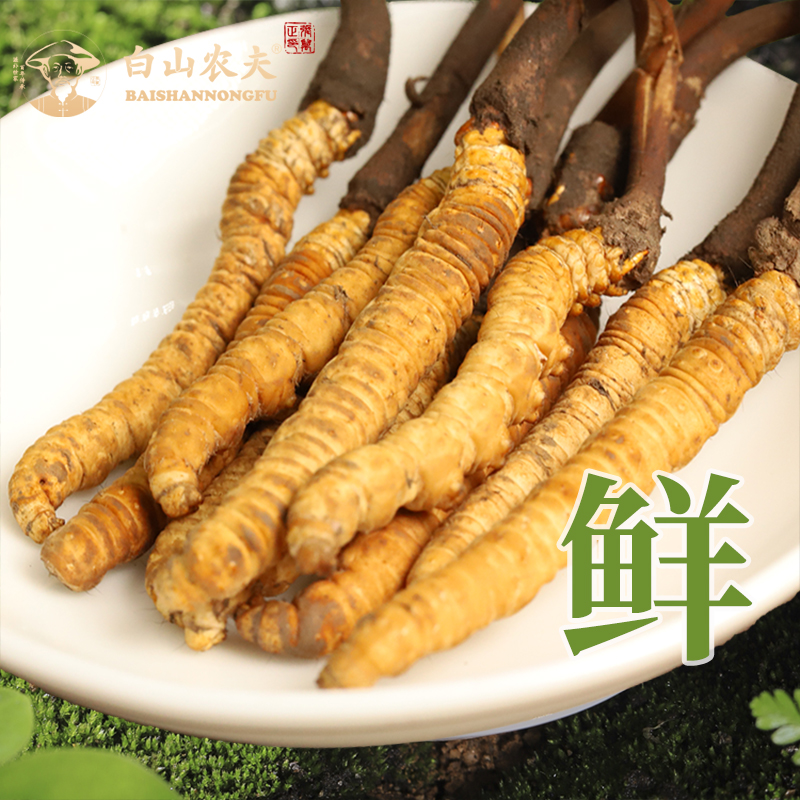 White Mountain Farmer's Tibet Tite the Fresh Caterpillar Fungus of the Caterpillar Fungus of the Caterpillar Fungus of the Caterpillar Fungus is delivered to the new goods