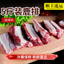 (Shan Xian Tiao) Jilin plum venison fresh now killed deer steak meat frozen adult deer ribs fresh venison 5kg