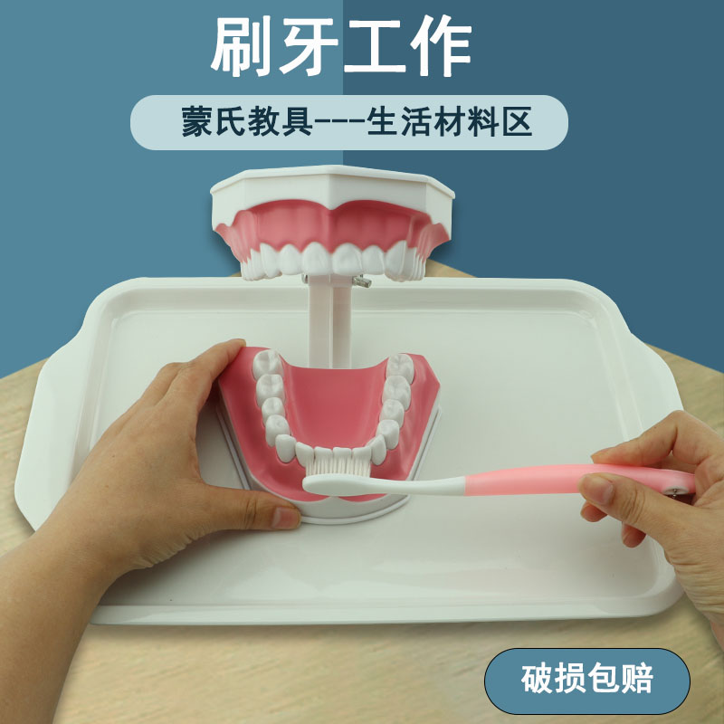 Hooded teaching aids toothbrushing work 3-year-old baby teeth Cognitive Mondei Sori Kindergarten Toothbrushing Good Habit Toys