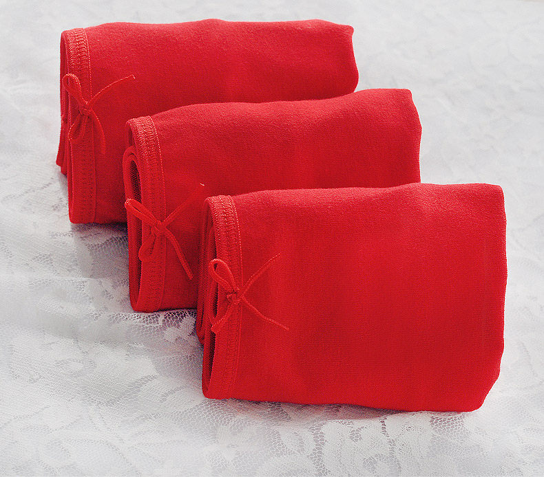 Slip DEANFUN en coton - Ref 642389 Image 7