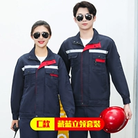 B Тибетский тибетский лан Личжу (вверху с брюками)