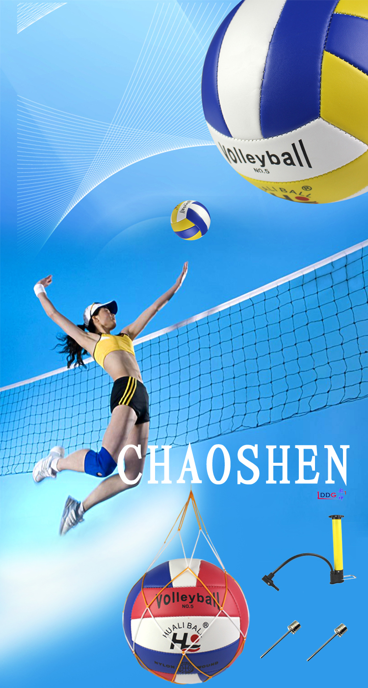 Ballon de volley - Ref 2010838 Image 6