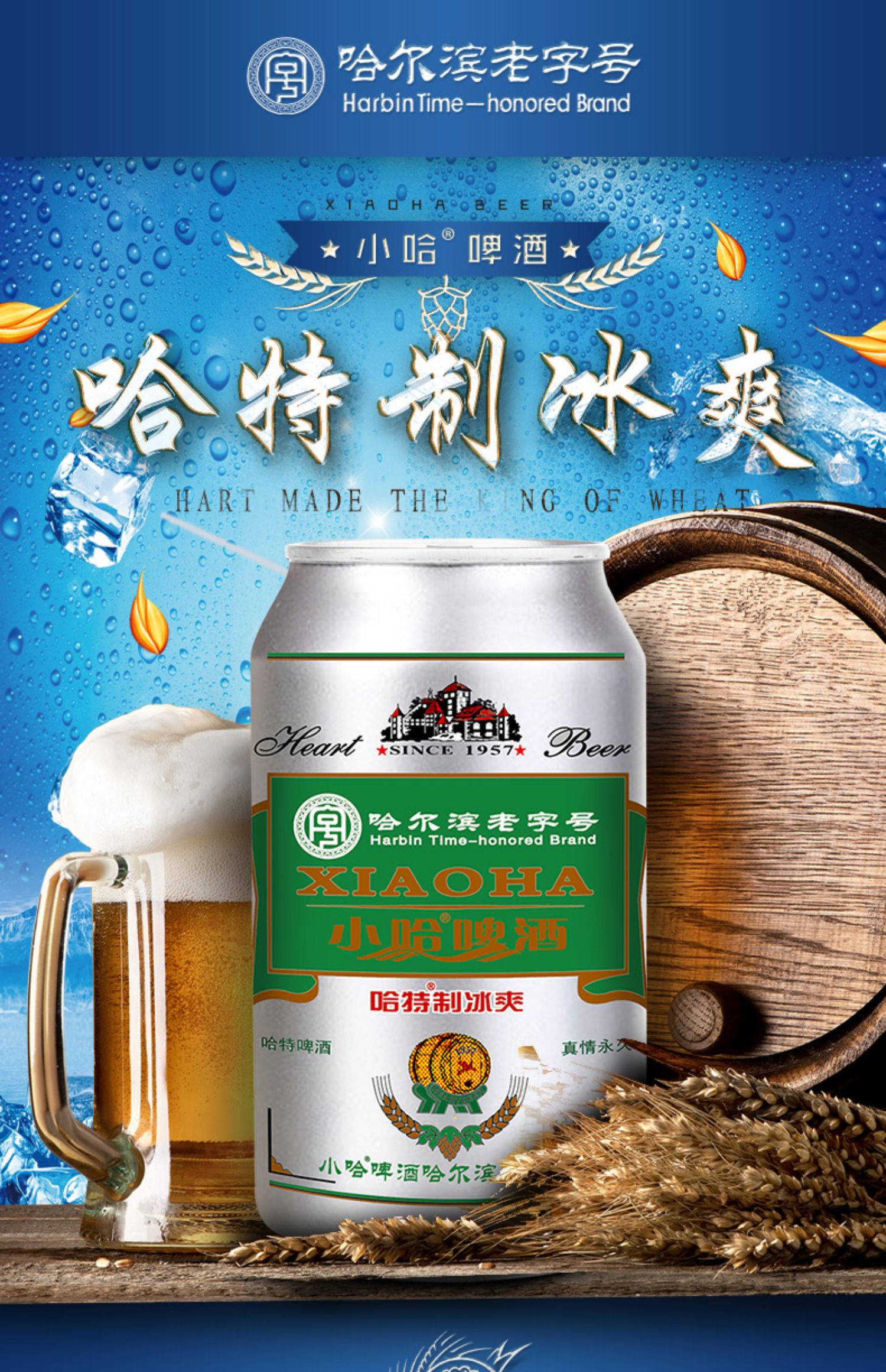 签到+首单！哈尔滨啤酒330ml*6罐