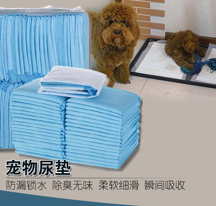 Small Puppy Rabbit Supplies Dog Urine Sheet Kitty Cat Milk Kennel Waterproof Mother Dog Year Oversized Puppy Enough Hamster Urine Mat