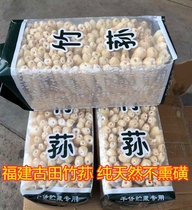 New goods bamboo fungus dry goods 500g super wild Fujian Gutian bamboo fungus fresh natural sulfur-free edible mushroom bamboo raw