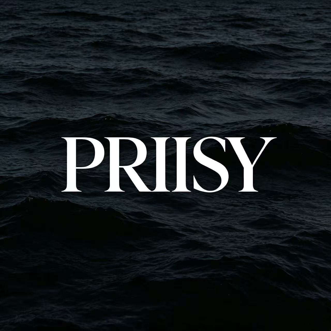 法国PRIISY专柜