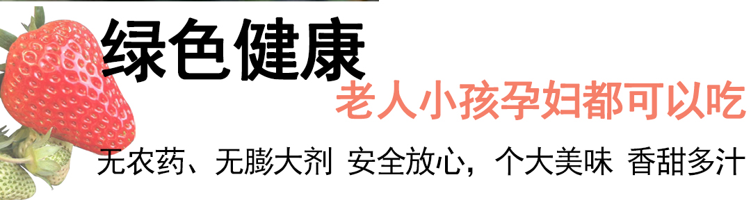 丹东东港 99红颜奶油草莓 3斤 图3