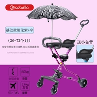 Окислительный фиолетовый круговой круговой плод