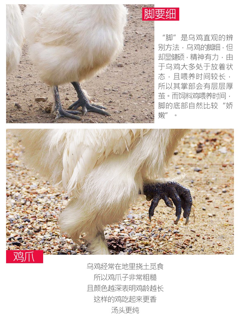 乡缘时空  农家散养300天白羽乌鸡 800g*2只 图6