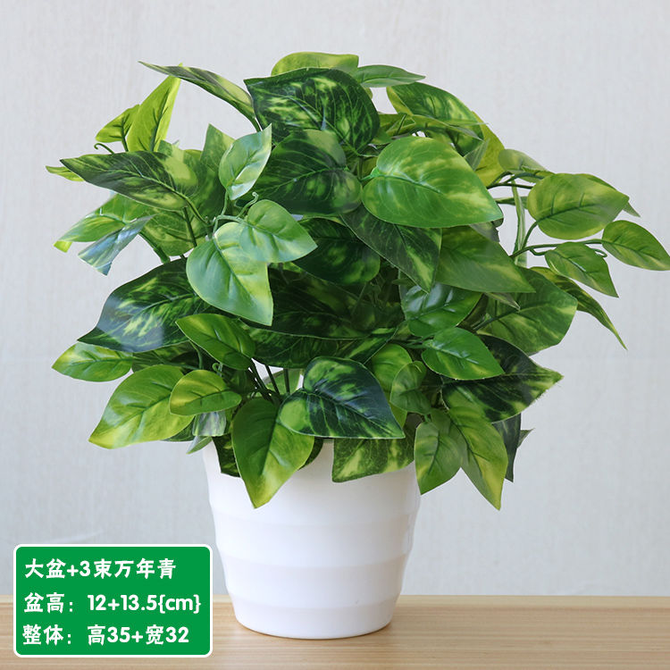 Milk tea shop interior Internet cafe potted flowers bouquets of household adornment simulation suit other green plant miniascape decoration